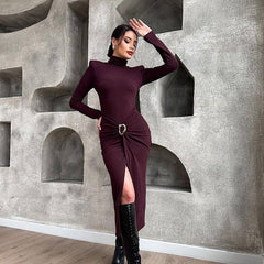 High Collar Long Sleeve Dress