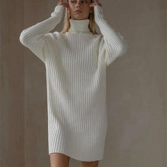 Long Sleeve High Collar Sweater Dress