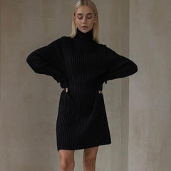 Long Sleeve High Collar Sweater Dress